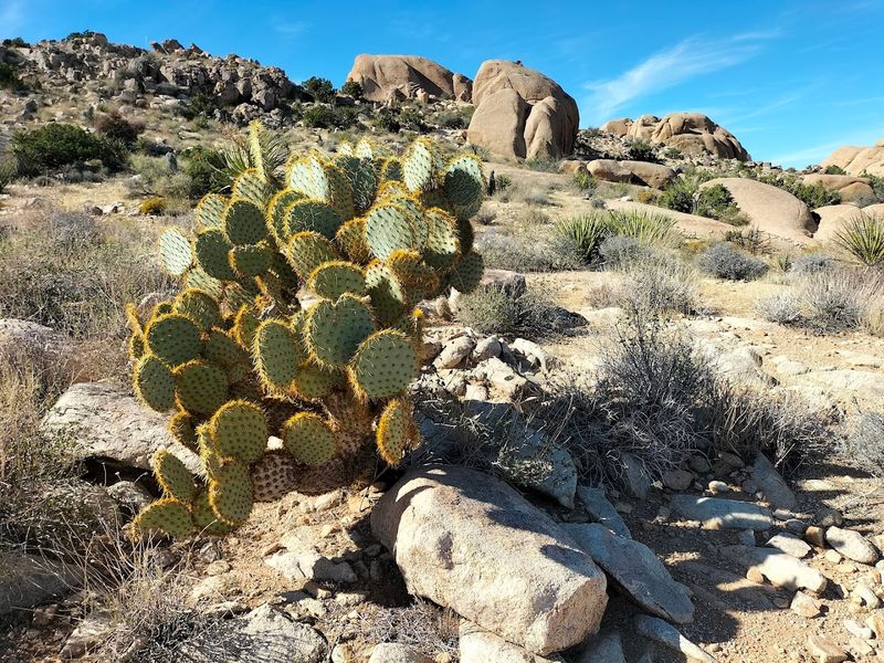 Carrying Adequate Water Prevents Dehydration