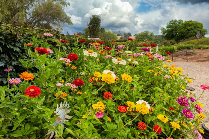 Open Daily From March Through November