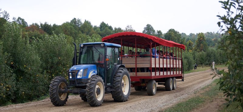 Spend The Day Picking North Carolina Apples At This Charming Orchard In Moravian Falls - Decor Hint U-Pick Experience With Tractor Rides