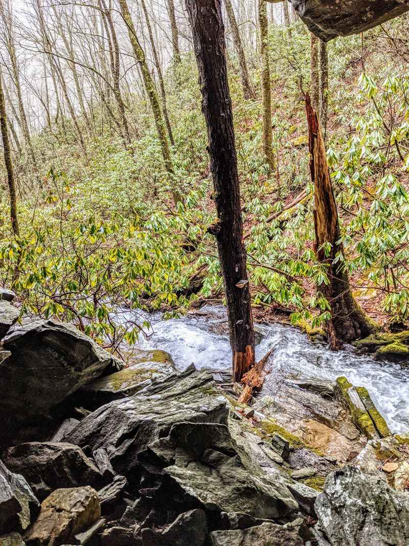 This North Carolina Stairway Trail Turns Into A Spring Wonderland - Decor Hint Qualla Boundary Cultural Context