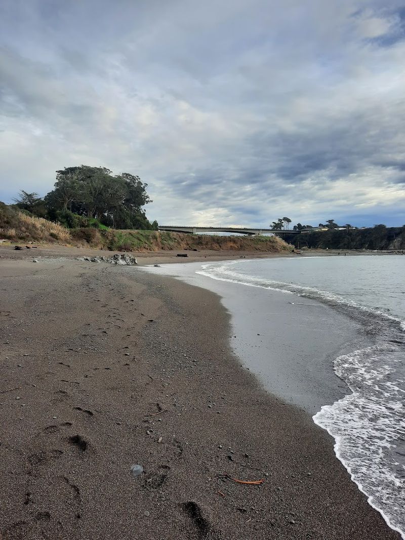 14 Unforgettable Dog Beaches In California That Will Make Your Pup Happier Than Ever - Decor Hint Noyo Beach