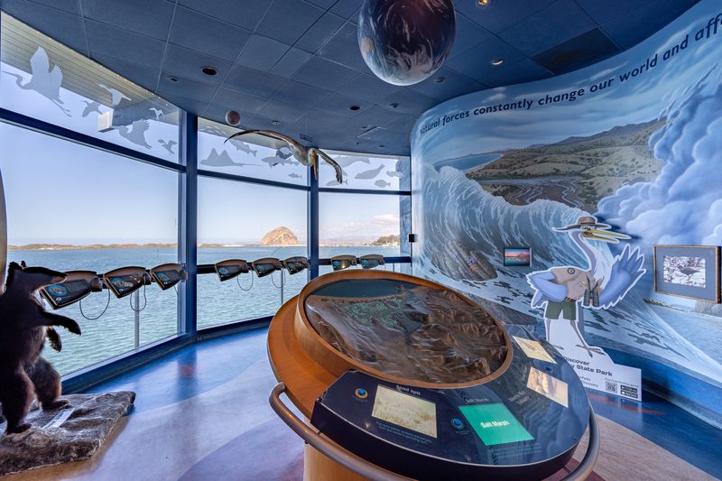 Museum Of Natural History Explores Local Ecology