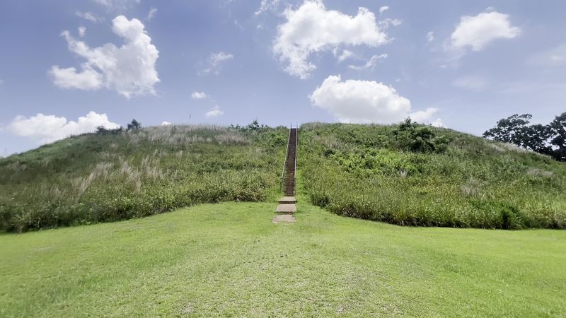 This Massive Earthen Mound in Georgia Holds the Secrets of a Long-Vanished People - Decor Hint Three Distinct Hiking Trails Through Forest and History