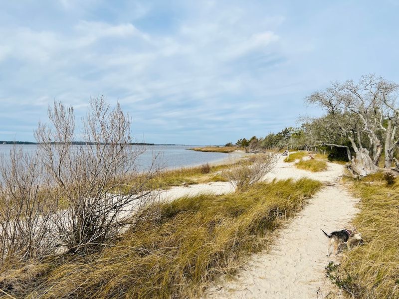 Carolina Beach State Park, Carolina Beach
