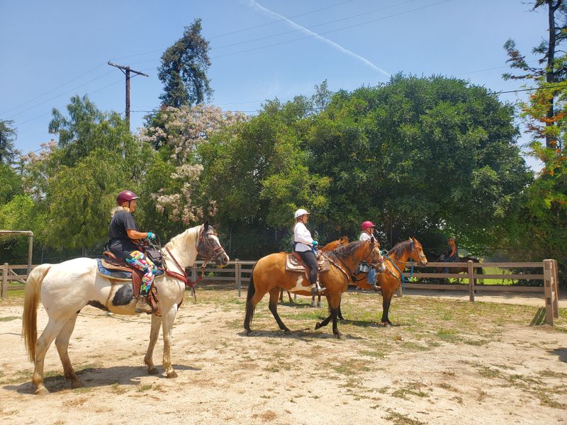 Wildlife Spotting Opportunities