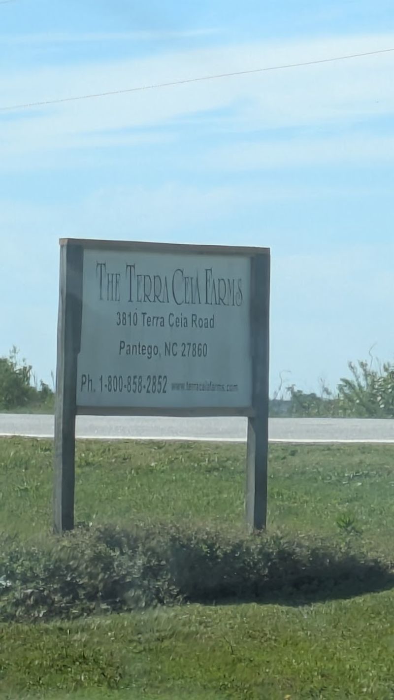 Practical Details For Planning Your Visit