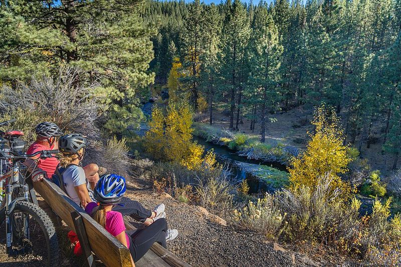 Wildlife Viewing Improves During Quieter Winter Months