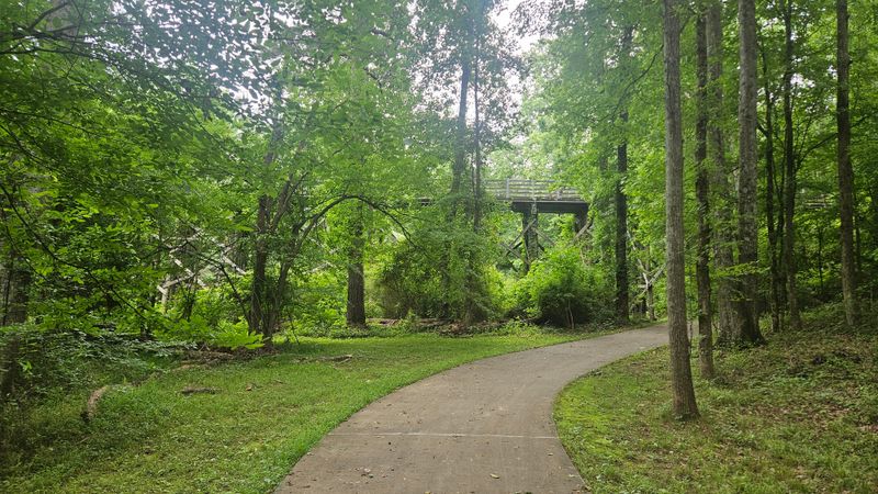 Spring Wildflowers Transform The Trail Into A Garden
