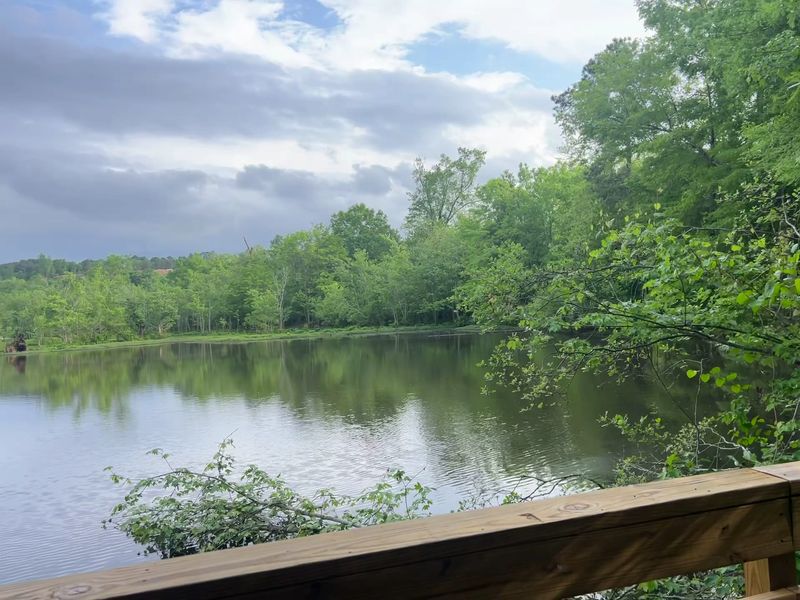 The Final Viewing Platform