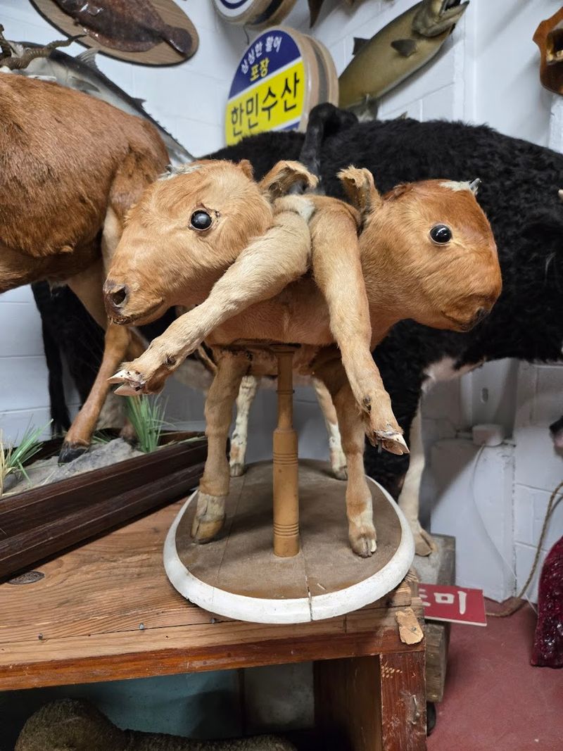 Preserved Biological Anomalies in Jars