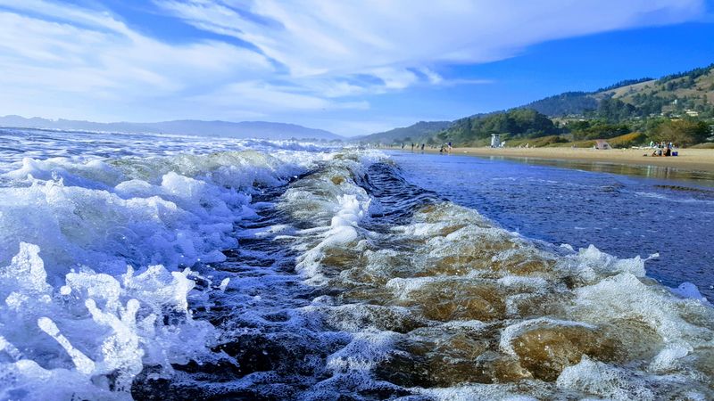 Rip Currents And Shark Awareness