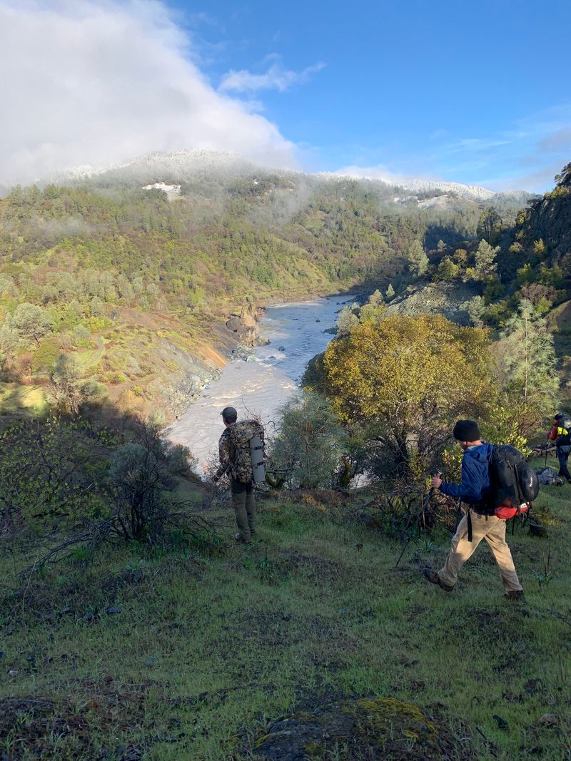 Journey Through Multiple Ecosystems