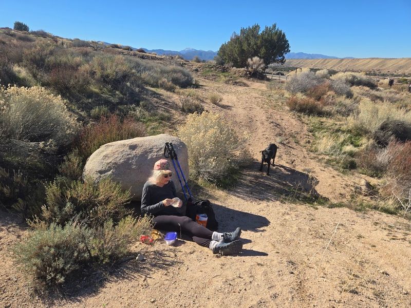 Diverse Wildlife Makes The Area Home