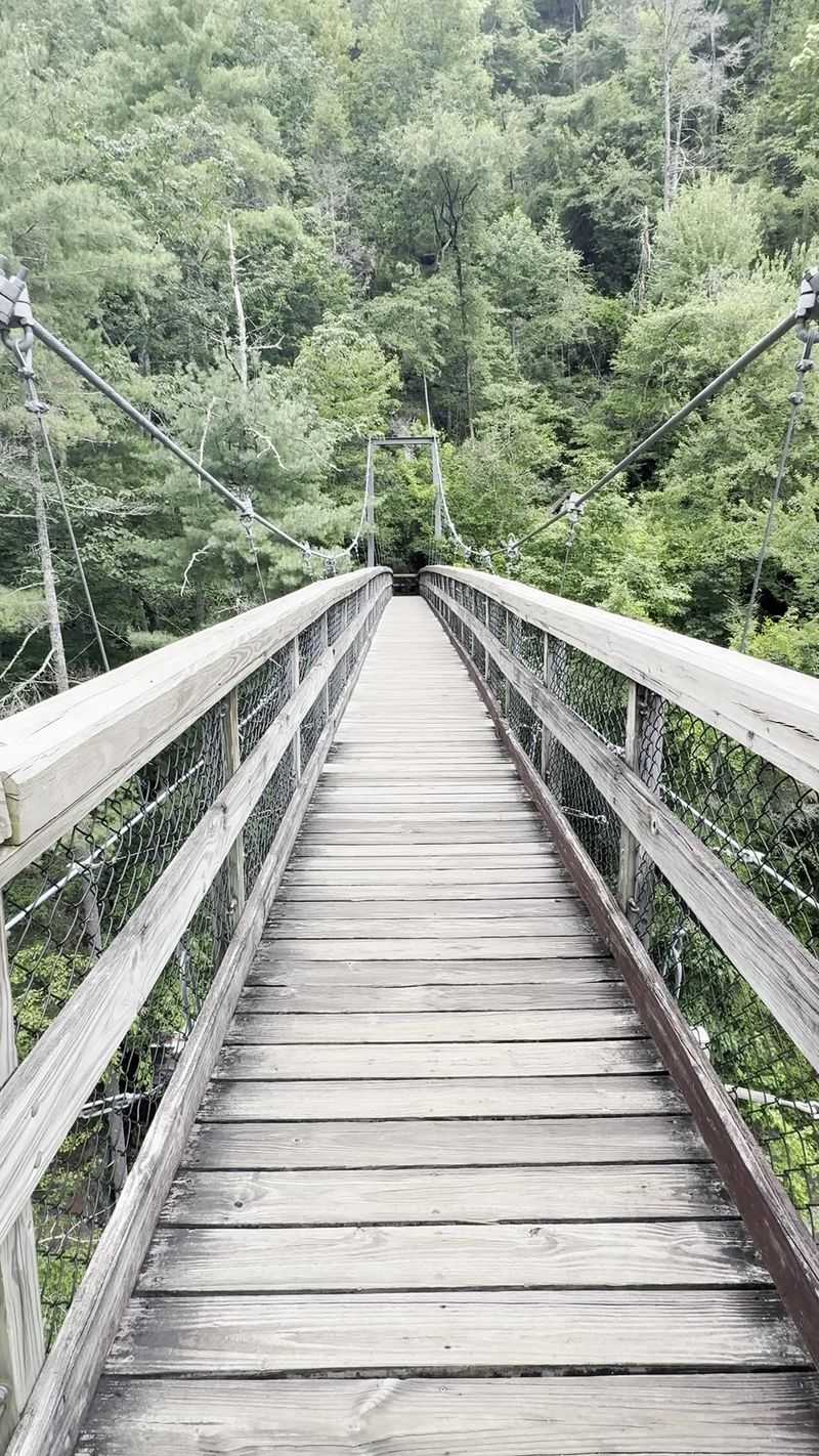 Suspension Bridge Experience