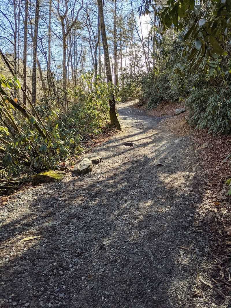 North Carolina's New Glampground Oasis Is Perfect For Spring Visits - Decor Hint Spring Weather And Trail Conditions