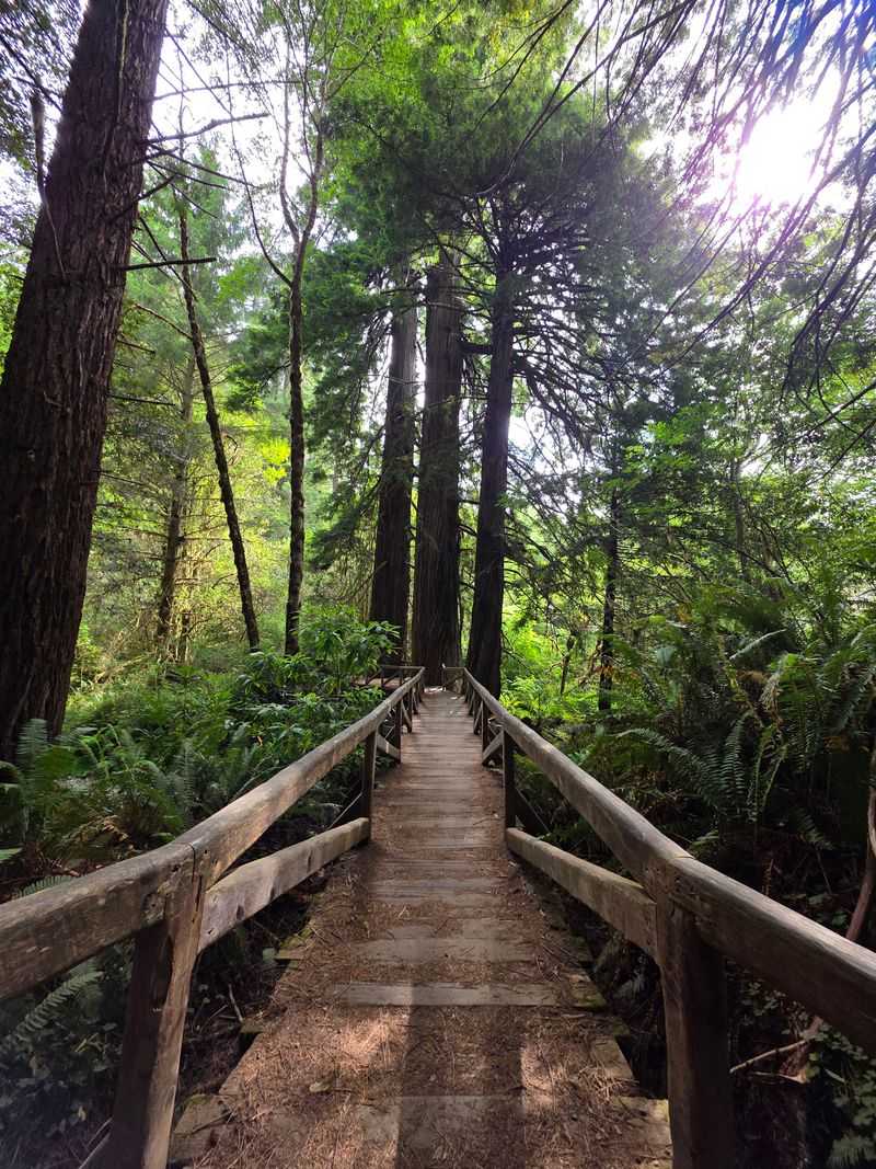 World Heritage Site International Recognition