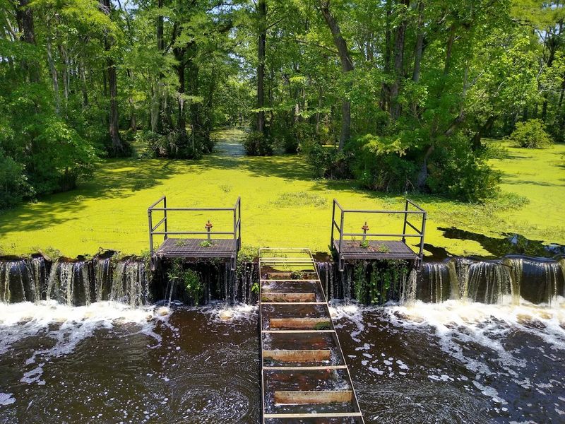 Merchants Millpond State Park, Gatesville