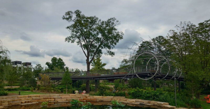 North Carolina’s Skywalk In Cary Offers A Unique Walk Among The Trees