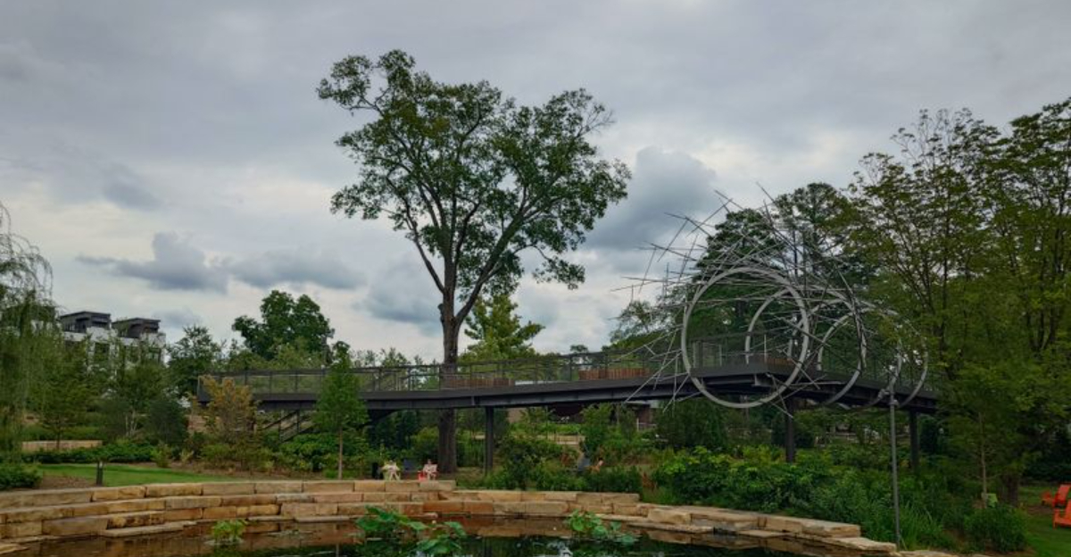 North Carolinas Skywalk In Cary Offers A Unique Walk Among The Trees - Decor Hint