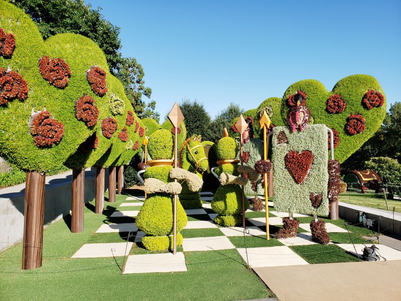 Atlanta Botanical Garden Showcases Seasonal Displays