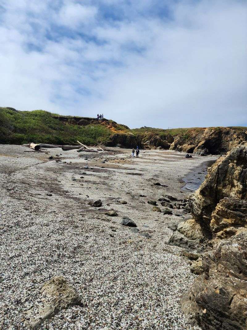 Part Of MacKerricher State Park Today