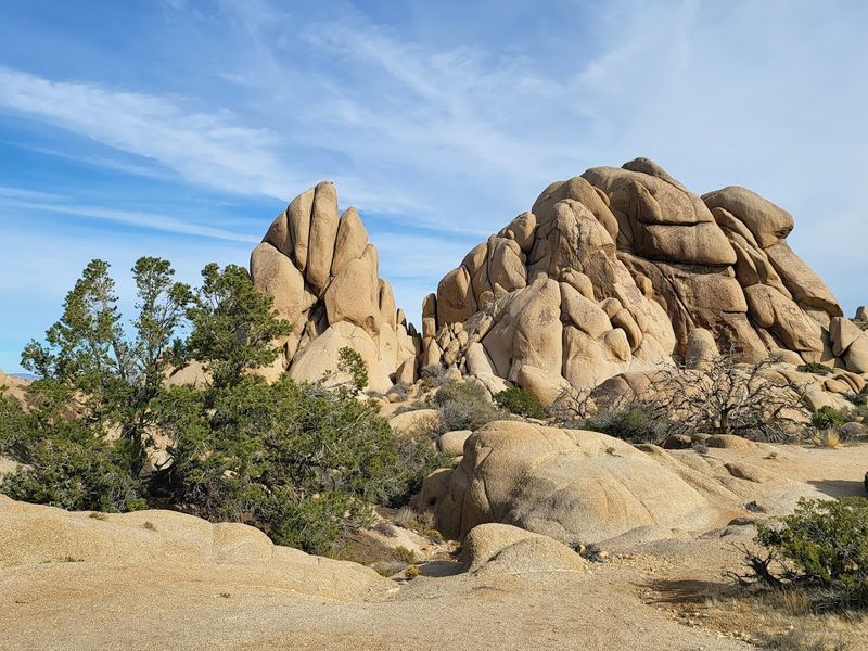 The Loop Passes Through Jumbo Rocks Campground