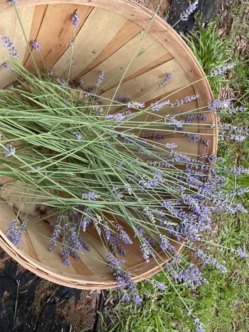 Community Connection Through Social Media