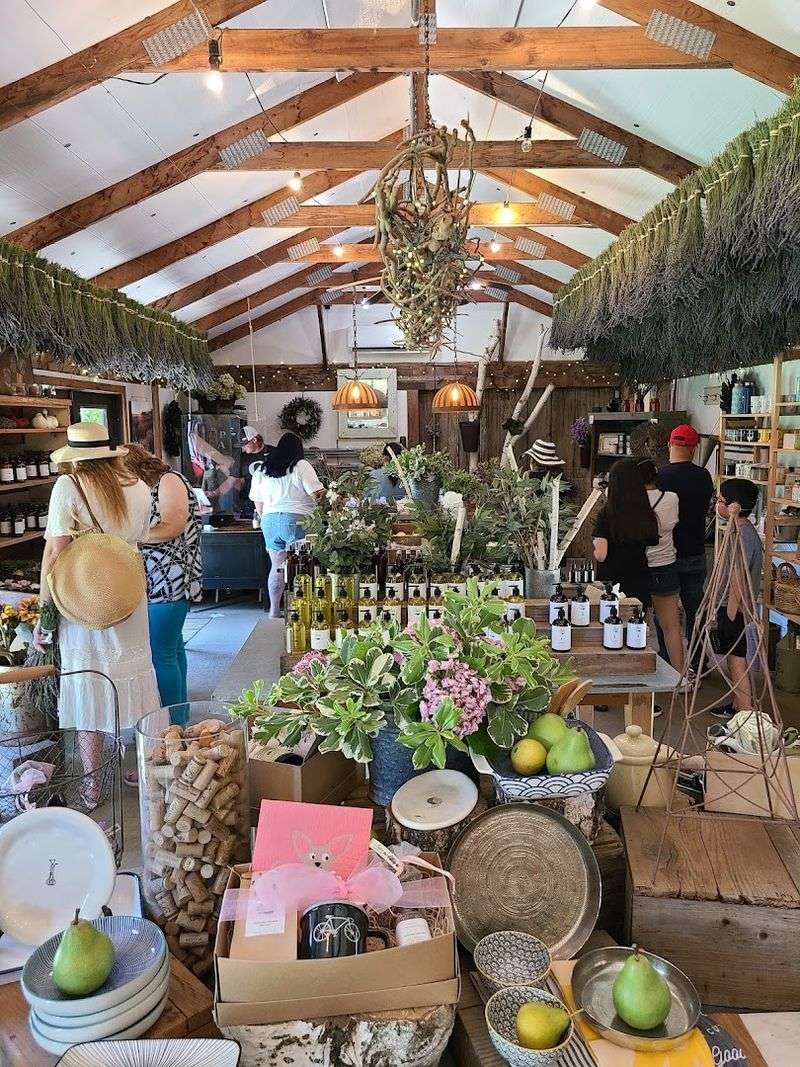 This California Lavender Farm Feels Like Heaven When It's In Full Bloom - Decor Hint Online Store For Remote Shoppers