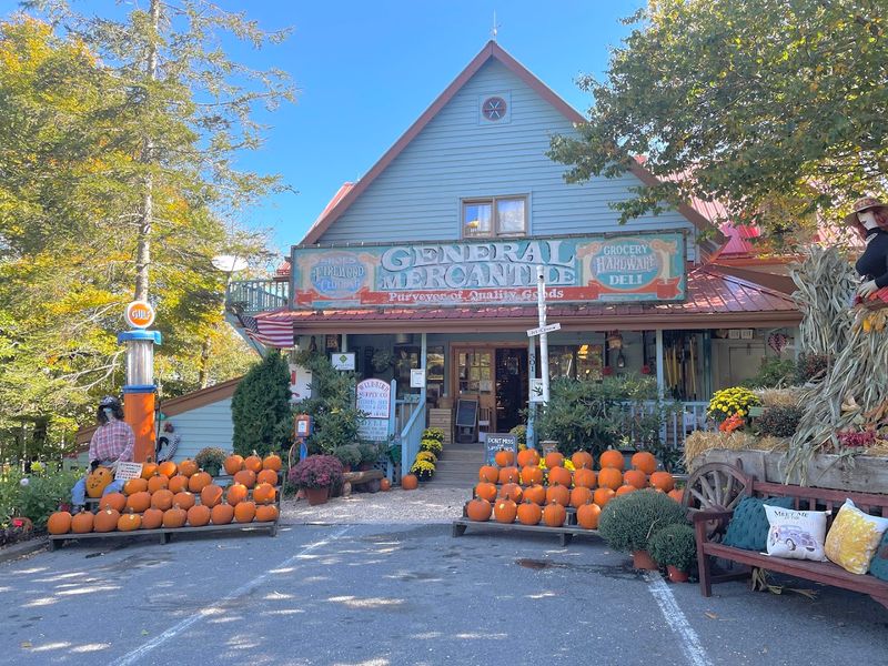 Community Events And Local Gatherings