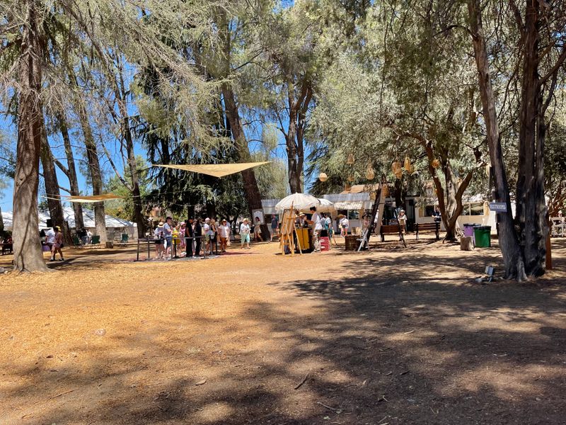 Twenty-Acre Organic Herb Garden Beyond Lavender