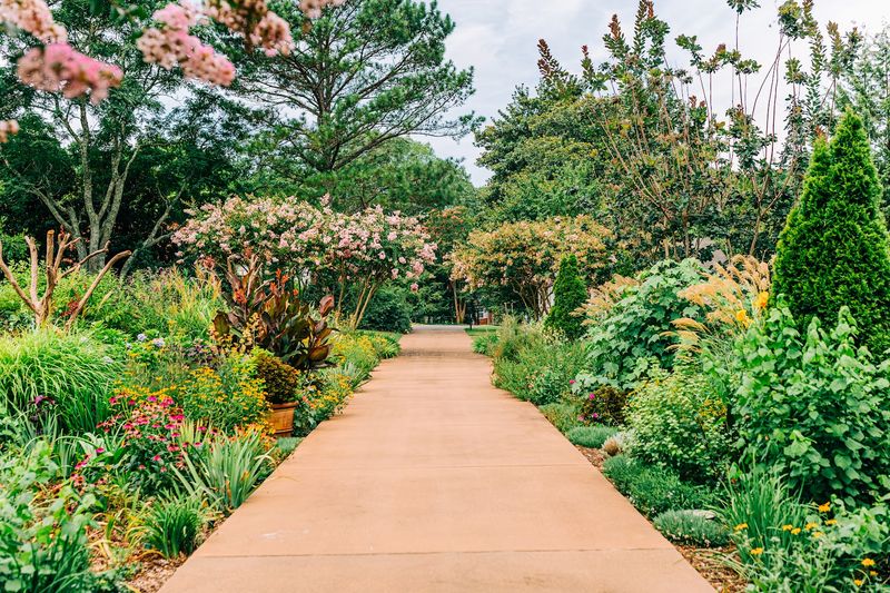 The Ferrell Gardens Showcase Native Plants