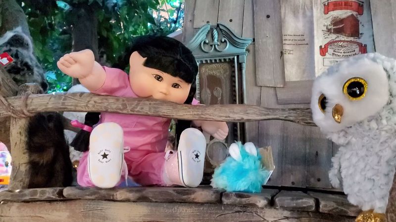 Staff Dedication to Maintaining the Magic