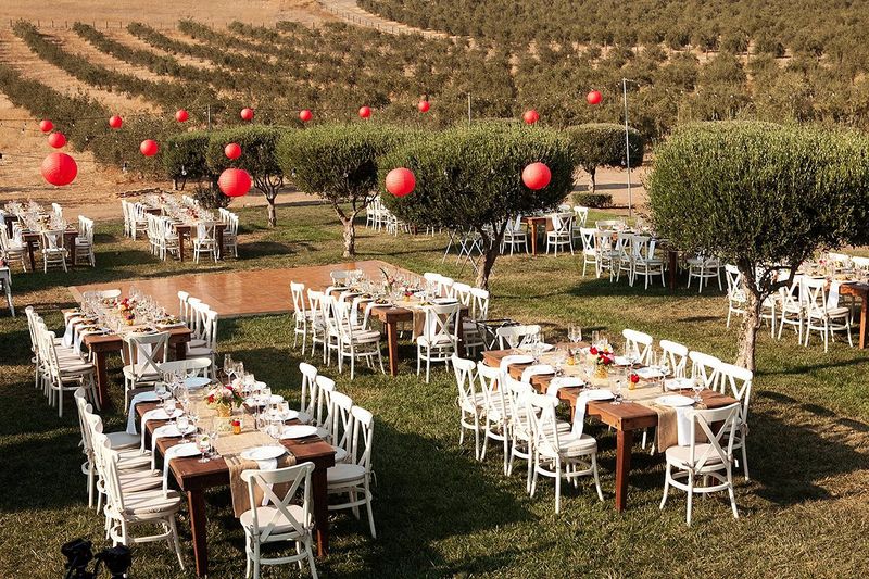 Spectacular Garden And Olive Orchard Views