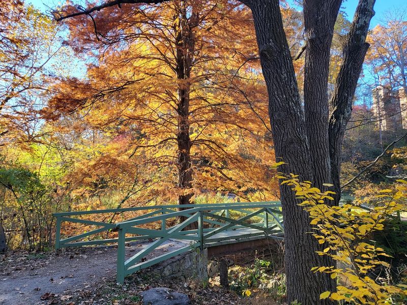 Asheville Botanical Garden, Asheville