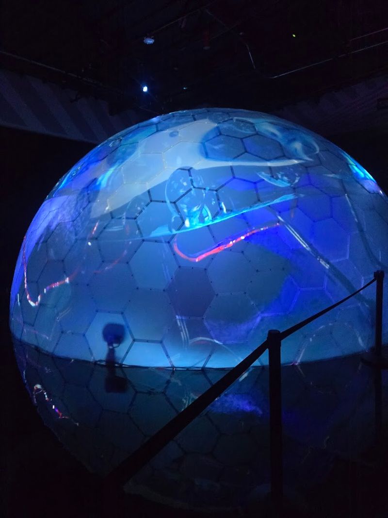 This Dreamy Bubble Planet Is The Perfect Alternative To Celebrate Women's Day With The Friends - Decor Hint The Giant Bubble Dome Is One of the Most Talked-About Rooms