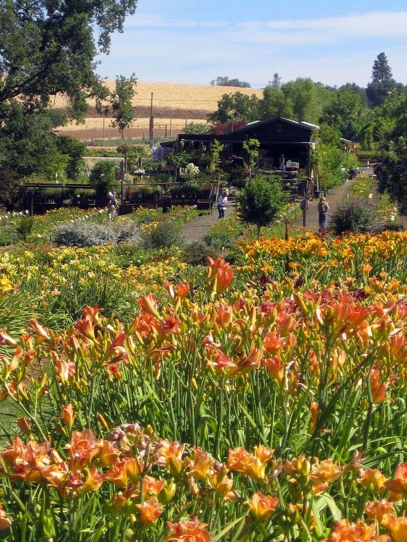 Fourteen Acres Of Landscaped Gardens To Explore