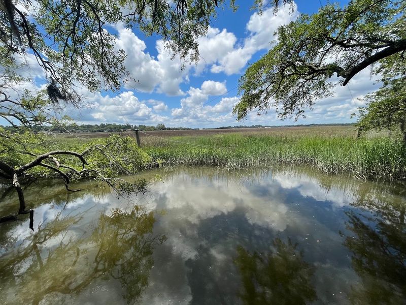 This Savannah Georgia Destination Features A Historic Building Used In Hollywood Movies And Has A Wolf Wilderness Exhibit - Decor Hint Scenic Nature Trails Through Maritime Forests