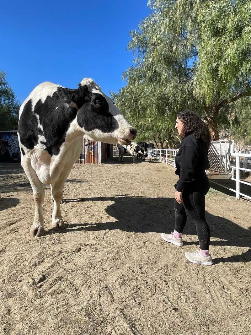 Open To The Public Every Sunday Morning