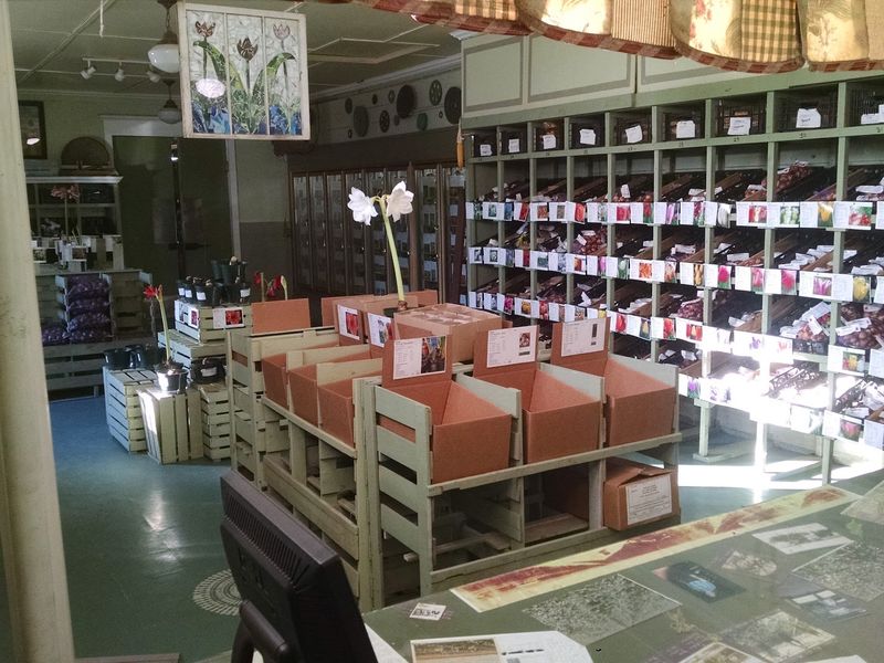 Mail-Order Service Ships Bulbs Nationwide