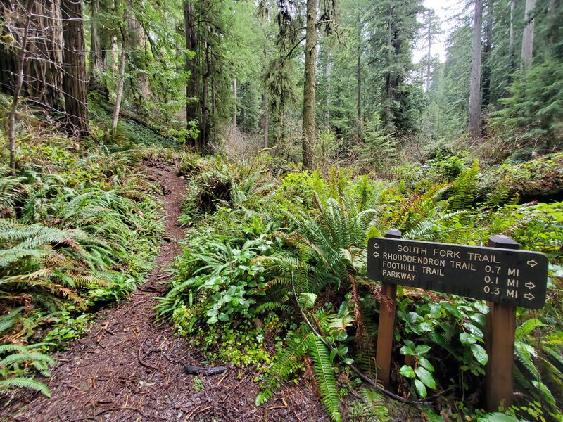 Seventy-Five Miles Of Trail Networks