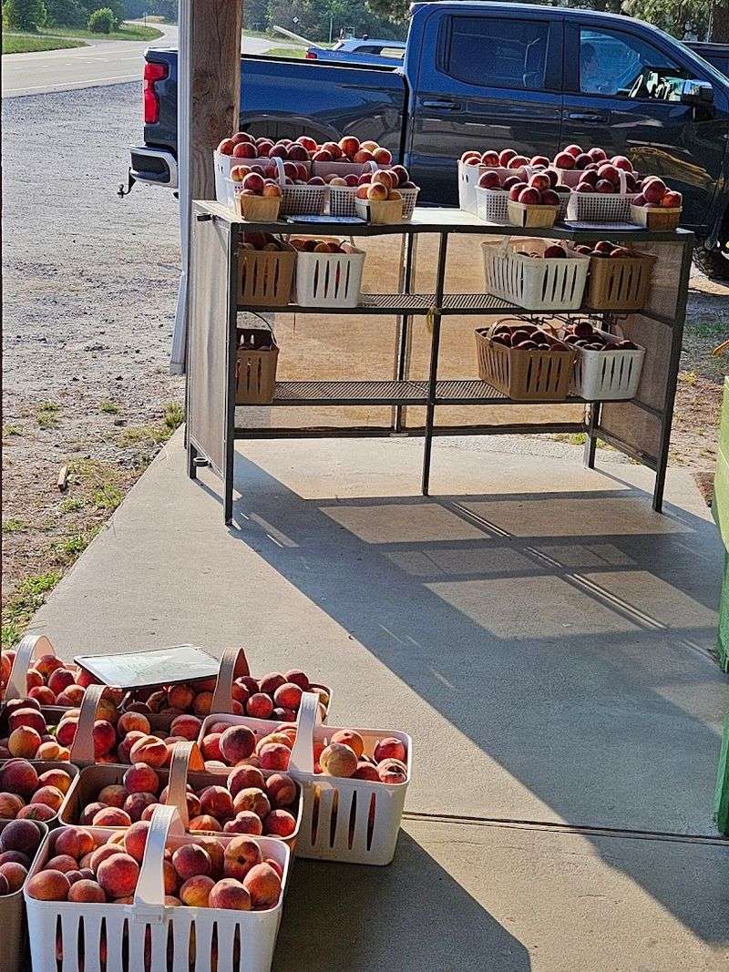 Paisley's Popular Peach Steals The Show