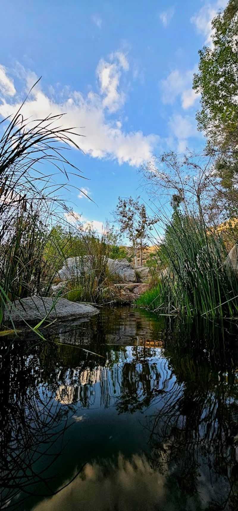 Unique Pool Names Reflect Individual Characteristics