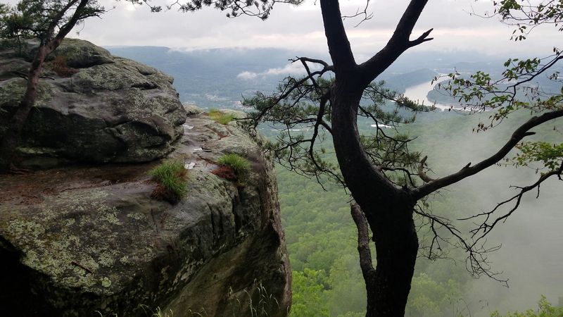 White-Tailed Deer Now Wander This Georgia Park Where Civil War Battles Were Once Held - Decor Hint Rock Climbing at Sunset Rock
