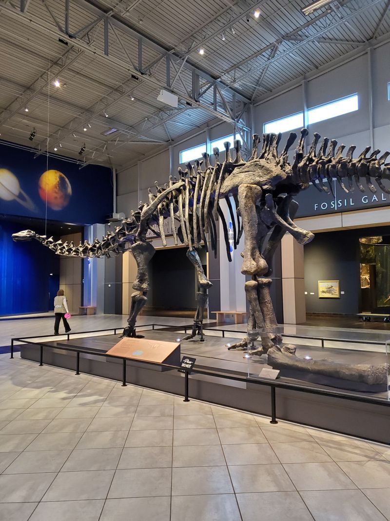 Explore the Planetarium's Cosmic Shows