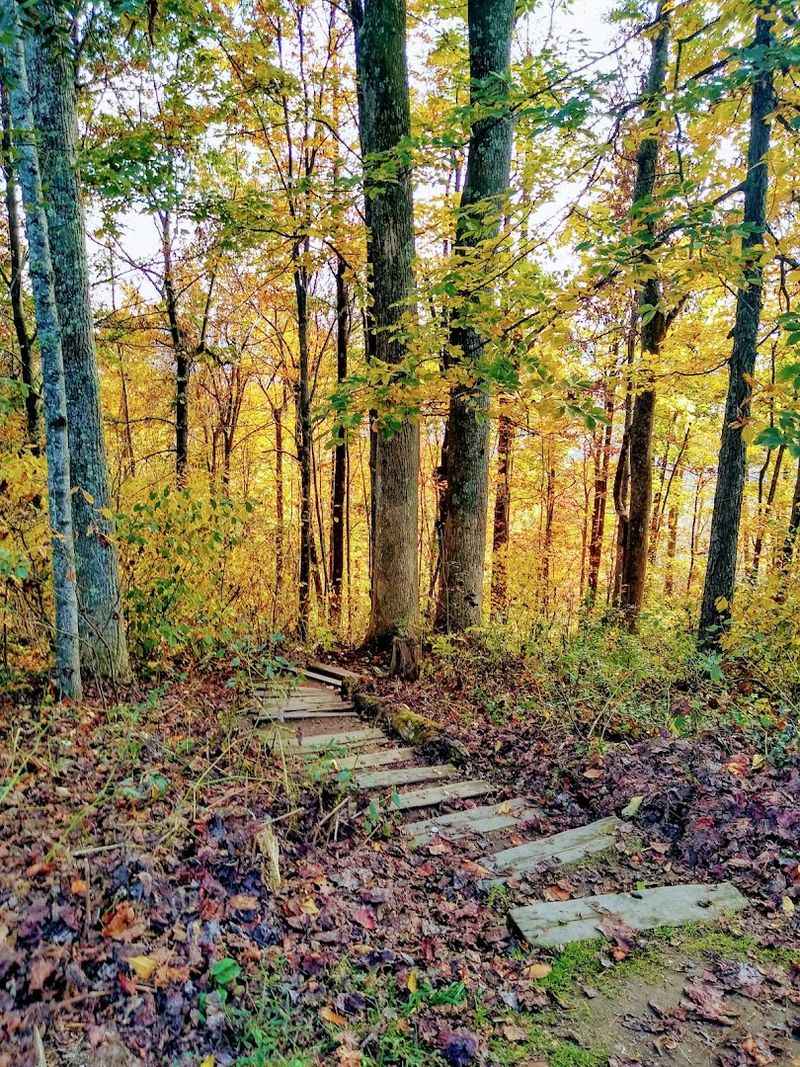 Three Short Hiking Trails For Every Skill Level