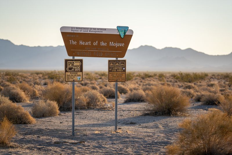 Southern California Desert Landscapes