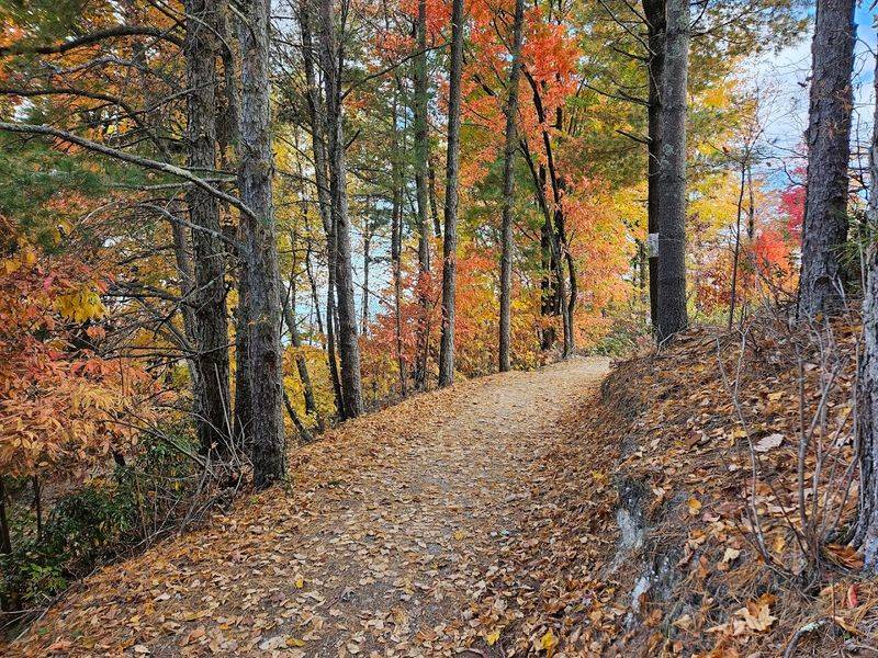 Fall Foliage And The Scenic Drive Route