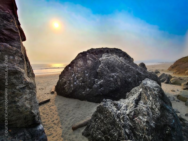 Harbor Seals And Sea Lion Sightings