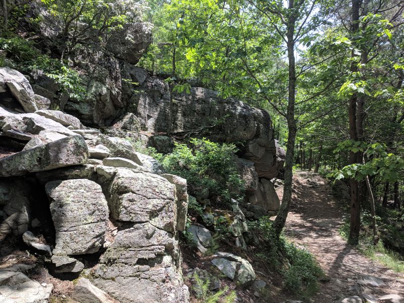 Challenging Mountain Biking Trails