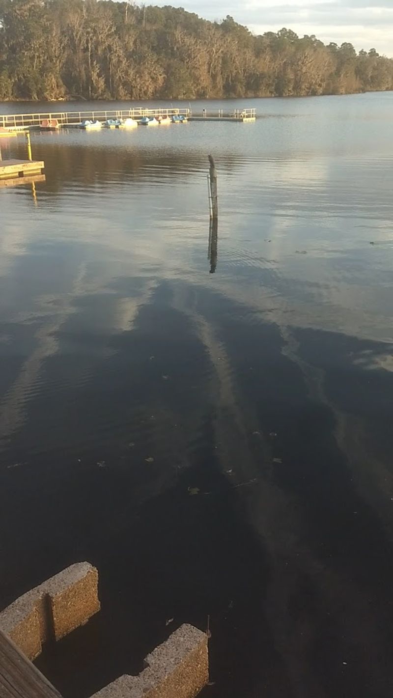 Safe Swimming Spots for Hot Summer Days